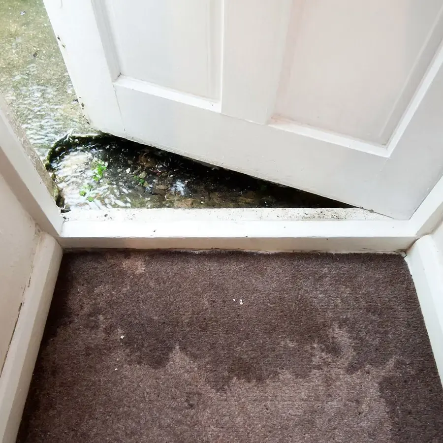 Wind-driven rain pushing under an exterior door onto wet carpet