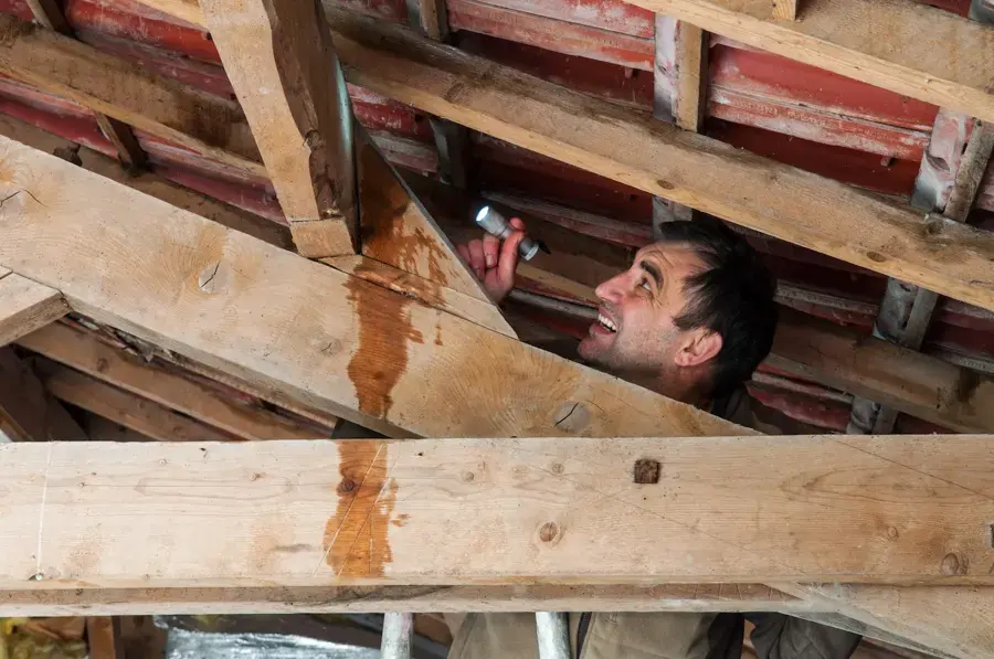 Water trail down attic rafters traced back to a roof leak